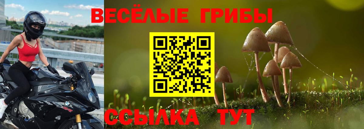 Елизово  Галлюциногенные грибы Psilocybe  Вход с VPN 